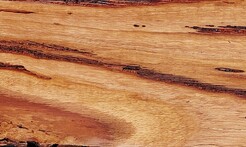 Rarefind Timber - Keno Gum