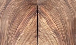 Rarefind Timber - Persian Walnut