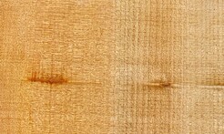Rarefind Timber - Kauri