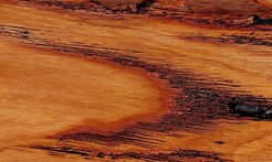 Rarefind Timber - Keno Gum