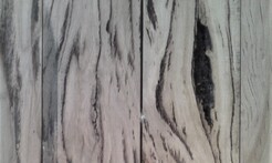 Rarefind Timber - Keno Gum