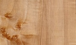 Rarefind Timber - Poplar