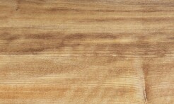 Rarefind Timber - Pukatea