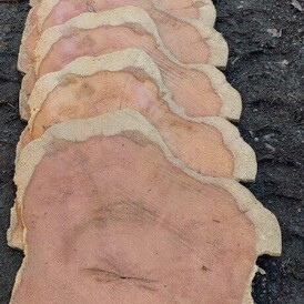 Yew Craftwood Rings at Rarefind Timber