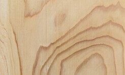 Rarefind Timber - Deodar Cedar