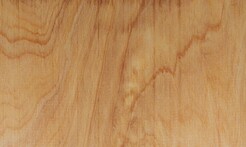 Rarefind Timber - Macrocarpa