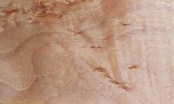 Rarefind Timber - European Beech