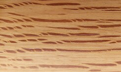 Rarefind Timber - Holm Oak