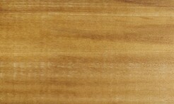 Rarefind Timber - Tulip Tree