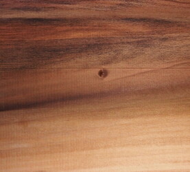 Rarefind Timber - Tulip Tree