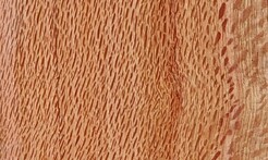 Rarefind Timber - Silly Oak