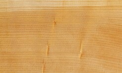 Rarefind Timber - Kauri