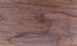 Rarefind Timber - Black Walnut