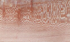 Rarefind Timber - London Plane