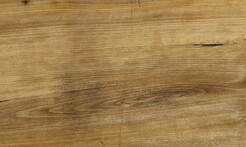 Rarefind Timber - Pukatea