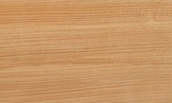 Rarefind Timber - Macrocarpa