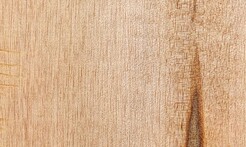 Rarefind Timber - Taraire