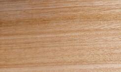 Rarefind Timber - Fastigata