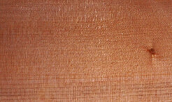 Rarefind Timber - Kauri