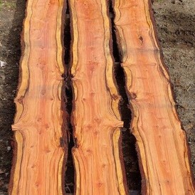 Redwood 3 Plank Table Tops at Rarefind Timber