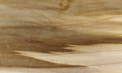 Rarefind Timber - Tulip Tree