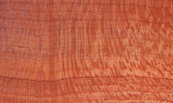 Rarefind Timber - Silly Oak