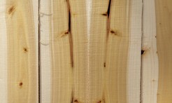 Rarefind Timber - Poplar Crowsnest