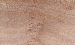 Rarefind Timber - London Plane