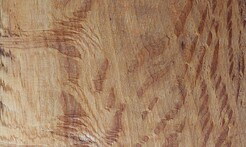 Rarefind Timber - Holm Oak