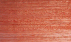 Rarefind Timber - Saligna