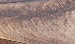 Rarefind Timber - Persian Walnut