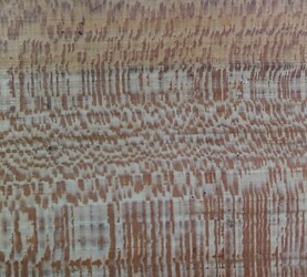 Rarefind Timber - London Plane