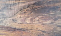 Rarefind Timber - Persian Walnut