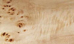 Rarefind Timber - Lombardy Poplar