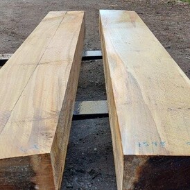 Tulip 10x10 at Rarefind Timber