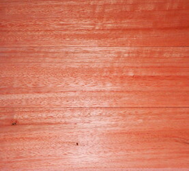 Rarefind Timber - Saligna