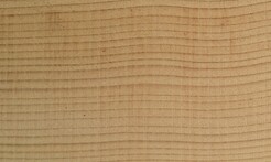 Rarefind Timber - Deodar Cedar