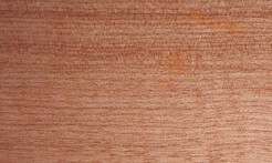 Rarefind Timber - Taraire