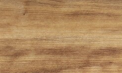 Rarefind Timber - Pukatea