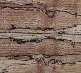 Rarefind Timber - Pin Oak