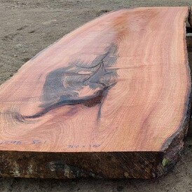 Silly Oak at Rarefind Timber