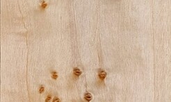 Rarefind Timber - Poplar