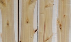 Rarefind Timber - Poplar Crowsnest