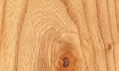 Rarefind Timber - Elm