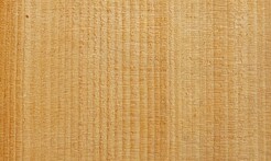 Rarefind Timber - Kauri