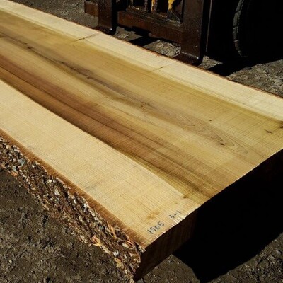 Rarefind Timber - Machined Slabs