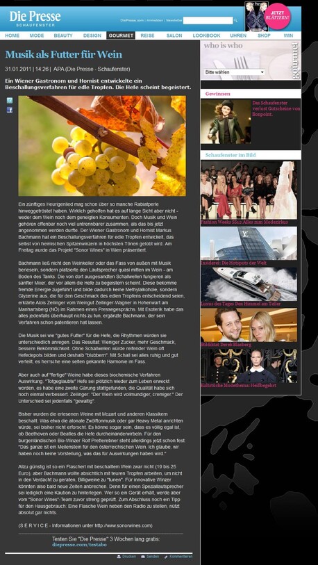 Austria die Presse Schaufenster