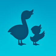 We use Storypark to involve you in your child's learning. Click here to log in to Storypark