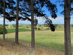 Time for a check-in?