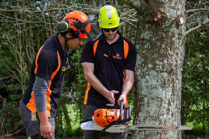 arborists looking at a chainsaw